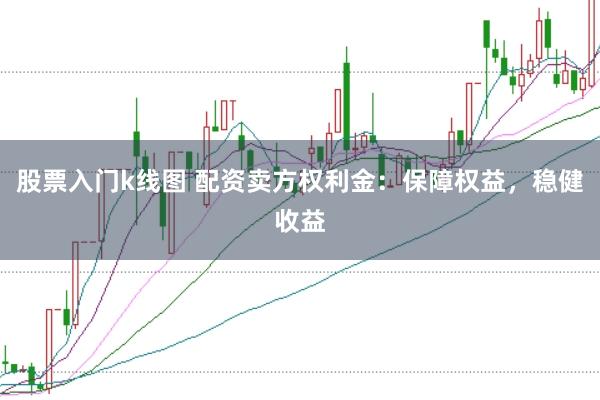 股票入门k线图 配资卖方权利金：保障权益，稳健收益