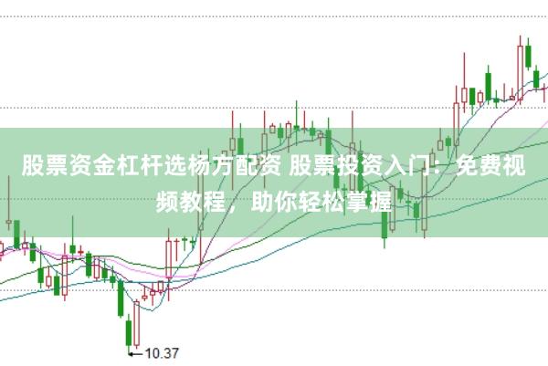 股票资金杠杆选杨方配资 股票投资入门：免费视频教程，助你轻松掌握