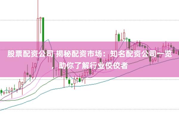股票配资公司 揭秘配资市场：知名配资公司一览，助你了解行业佼佼者